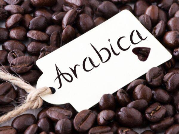 Jak wybrać najlepszą jakość kawy Arabica?